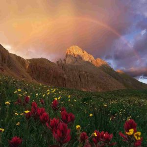 دانلود آهنگ دکمتو زدم بچه بدو برو